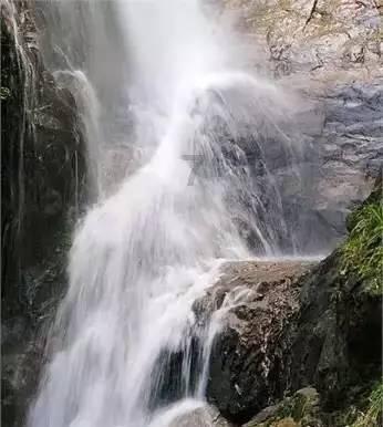 救援受困的火鸡